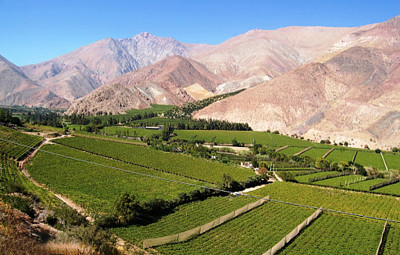 פאזל של Valle de Elqui