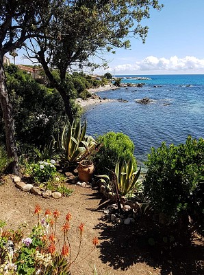 Jardin sur la mer