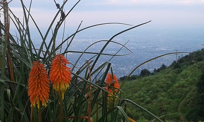 Cerro San Javier-TucumÃ¡n jigsaw puzzle