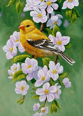 Pajarito con Flores jigsaw puzzle