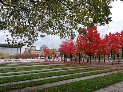 Un automne Ã  Berlin jigsaw puzzle