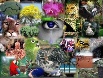 BIODIVERSIDAD jigsaw puzzle