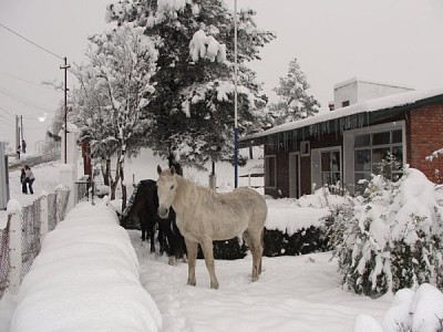 פאזל של TucumÃ¡n Nevado