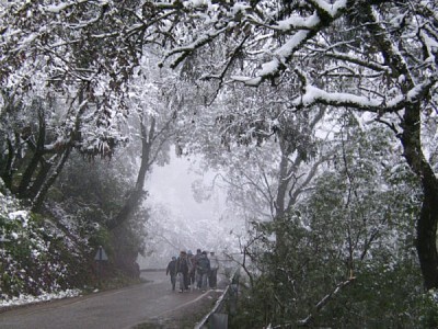 פאזל של TucumÃ¡n Nevado