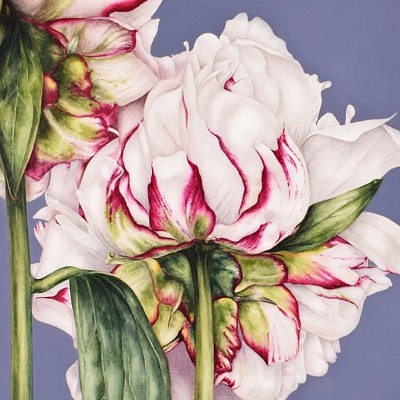 flores jigsaw puzzle