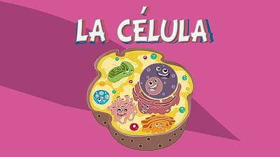 La cÃ©lula jigsaw puzzle