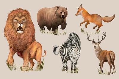 Animales Salvajes jigsaw puzzle