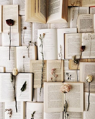 Livros e flores