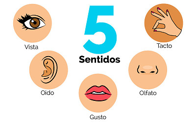 פאזל של 5 sentidos