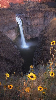 פאזל של Cachoeira