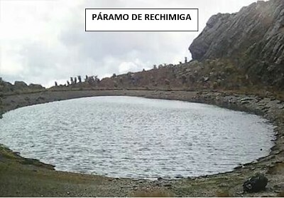 rechimiga