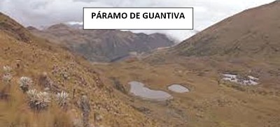 guantiva