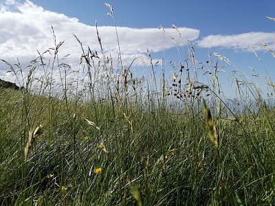 in Liguria