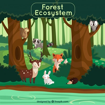 animales del bosque