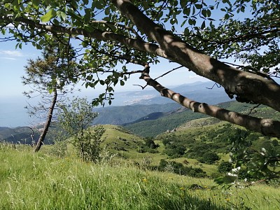 i love Liguria