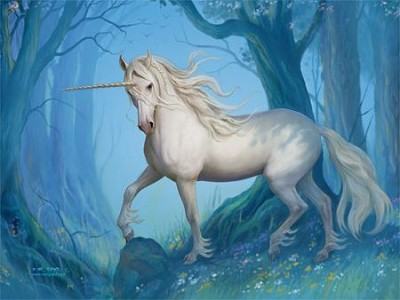 Unicorn forest