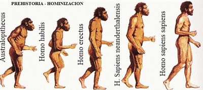 פאזל של PROCESO DE HOMINIZACION