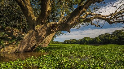 imagem jigsaw puzzle