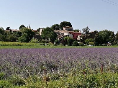 la Provenza in Italia