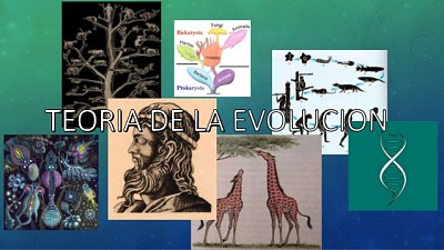 TEORÃAS DE LA EVOLUCIÃ“N