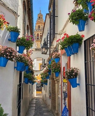 los patios de cordoba