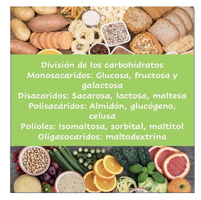 פאזל של DivisiÃ³n de carbohidratos