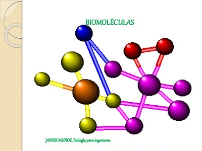 Biomoleculas