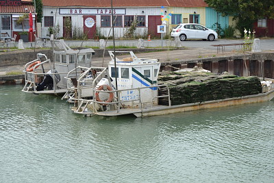 ile d 'oleron