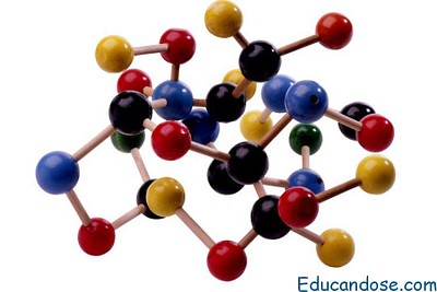 biomoleculas jigsaw puzzle