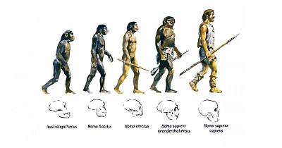 evoluciÃ³n