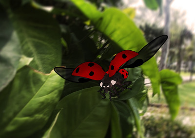 פאזל של Lady Bug