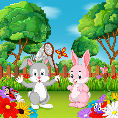 animales