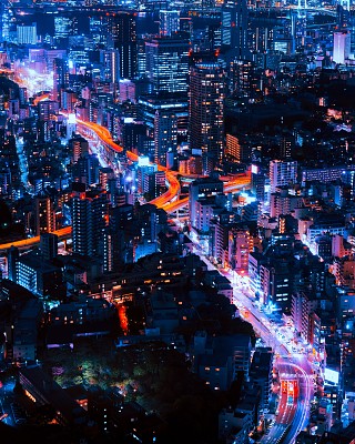 night life