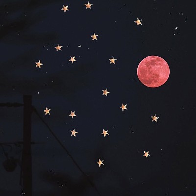 pink moon jigsaw puzzle