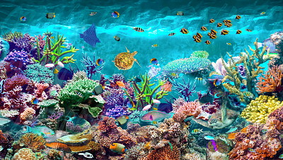 Fundo do Mar jigsaw puzzle