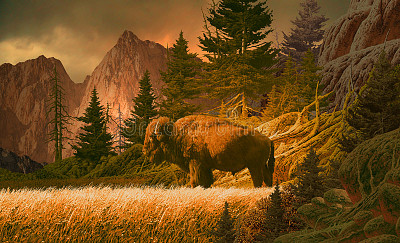 buffalo, rocky mountains jigsaw puzzle