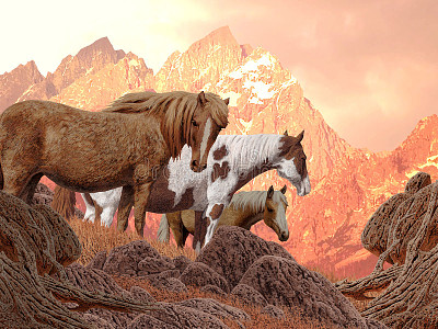 Wild Horses jigsaw puzzle