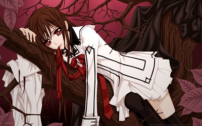 פאזל של Vampire Knight