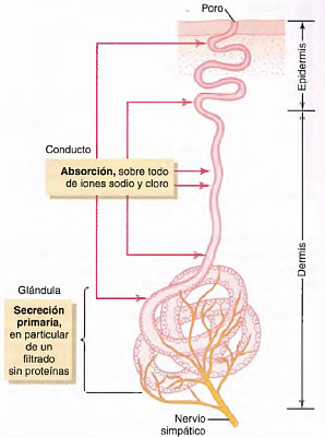 ROMPECABEZAS 3