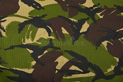 Camouflage jigsaw puzzle