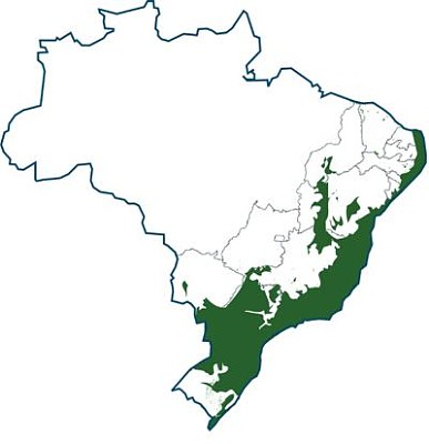 Mata AtlÃ¢ntica