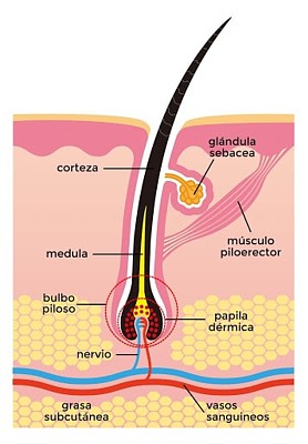 ROMPECABEZAS 2