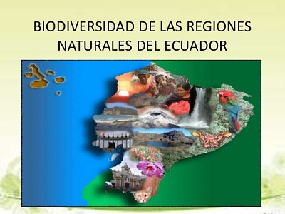 Biodiversidad Ecuatoriana jigsaw puzzle