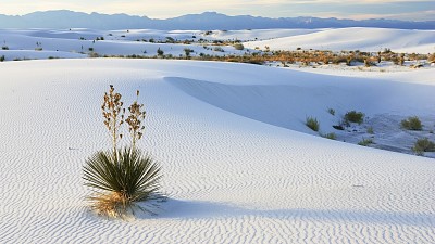 dÃ©sert blanc