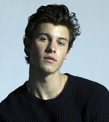 shawn mendes jigsaw puzzle