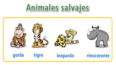 Salvajes