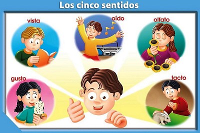 5 SENTIDOS jigsaw puzzle