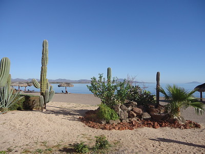 פאזל של LORETO BCS