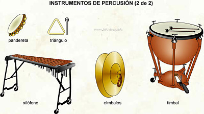 percusiÃ³n