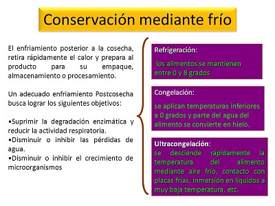 CONTAMINACION